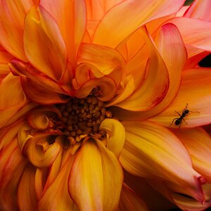 DSCF1796.jpg