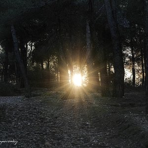 LA LUZ.jpg