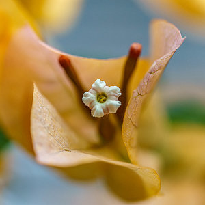 _DSC0553dx.jpg