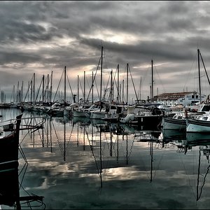 DSCF1519.jpg