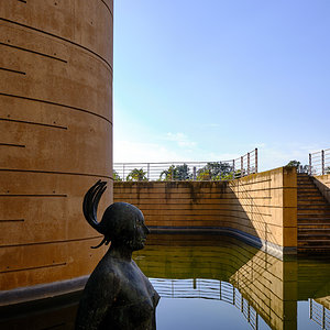 CDAN (10).jpg