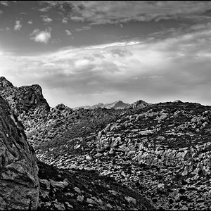 DSC_8935a.jpg