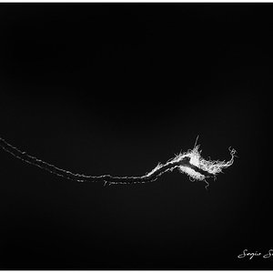 PLUMA A CONTRALUZ.jpg