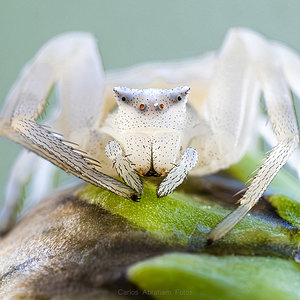 _KKY7672-Mejorado-NR.jpg