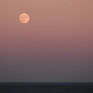DSCF7485.jpg
