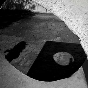240313 IMG_20240310_104421_1.jpg