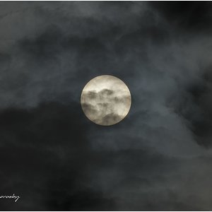 Sol y niebla.jpg