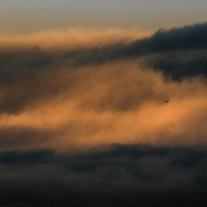 DSCF8453-3.jpg