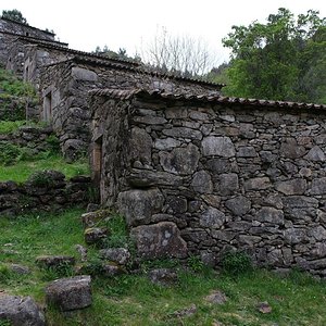 DSCF8422.jpg