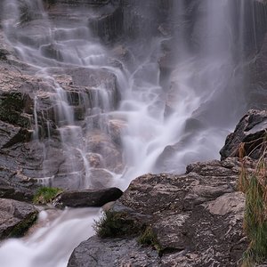 DSCF8440.jpg