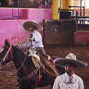 Charrería_7.jpg