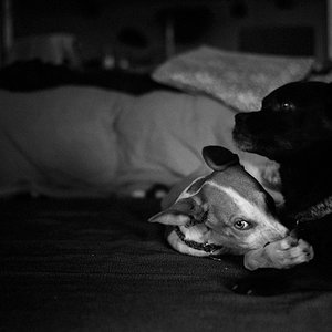 L1060792-Editar-3.jpg
