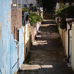 XT051977.jpg