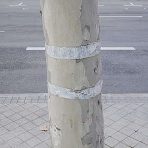 L1006213.jpg