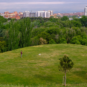 DSCF1842.jpg