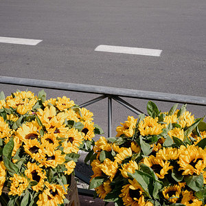 L1003156.jpg
