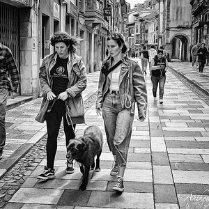 DSCF3649 copia_023717.jpg