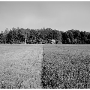 DSCF4211.jpg