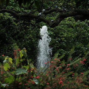 DSCF7588.JPG