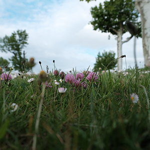 DSCF7620.JPG