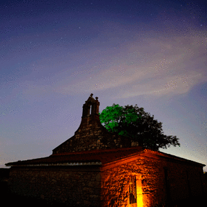 _X309511[800px].gif