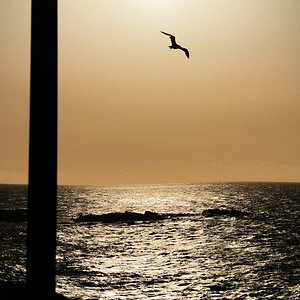 Paseo costero-5.jpg