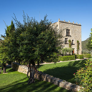 L1000584.jpg