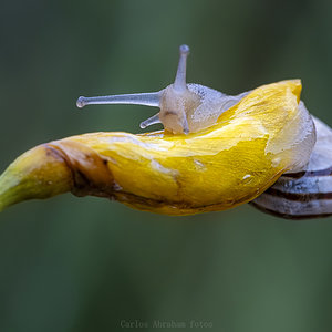 _KKY3319-Mejorado-NR-1.jpg