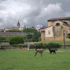 DSCF1613.jpg