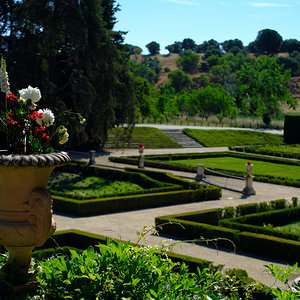 DSCF3295.JPG