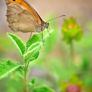 _DSF5574-Mejorado-NRF.jpg