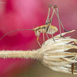 _KKY3345-Mejorado-NR.jpg