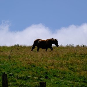 IMG-20240724-WA0012.jpg