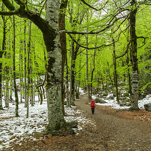 Valle de Ordesa 087.jpg
