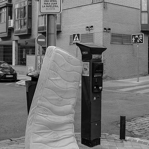 DSCF9599.jpg