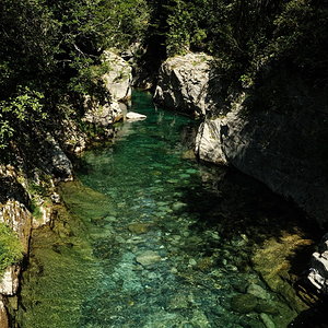 image00009.jpeg