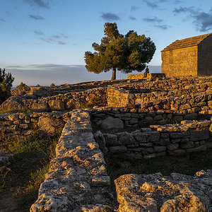 L1000214.jpg