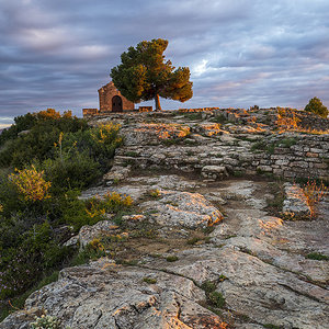 L1000241.jpg
