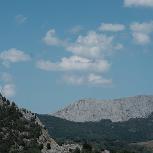 DSCF6236_baja.JPG
