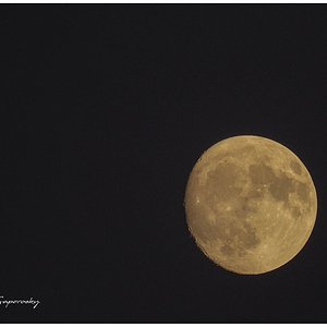 LUNA LLENA 19-08-24.jpg