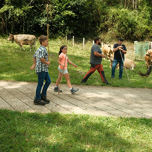 DSCF0166.jpg