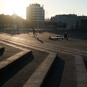 _DSF6798.jpg