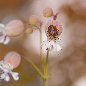 _DSF7713-Mejorado-NRF.jpg