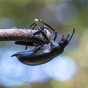 _KKY6135-Mejorado-NR.jpg