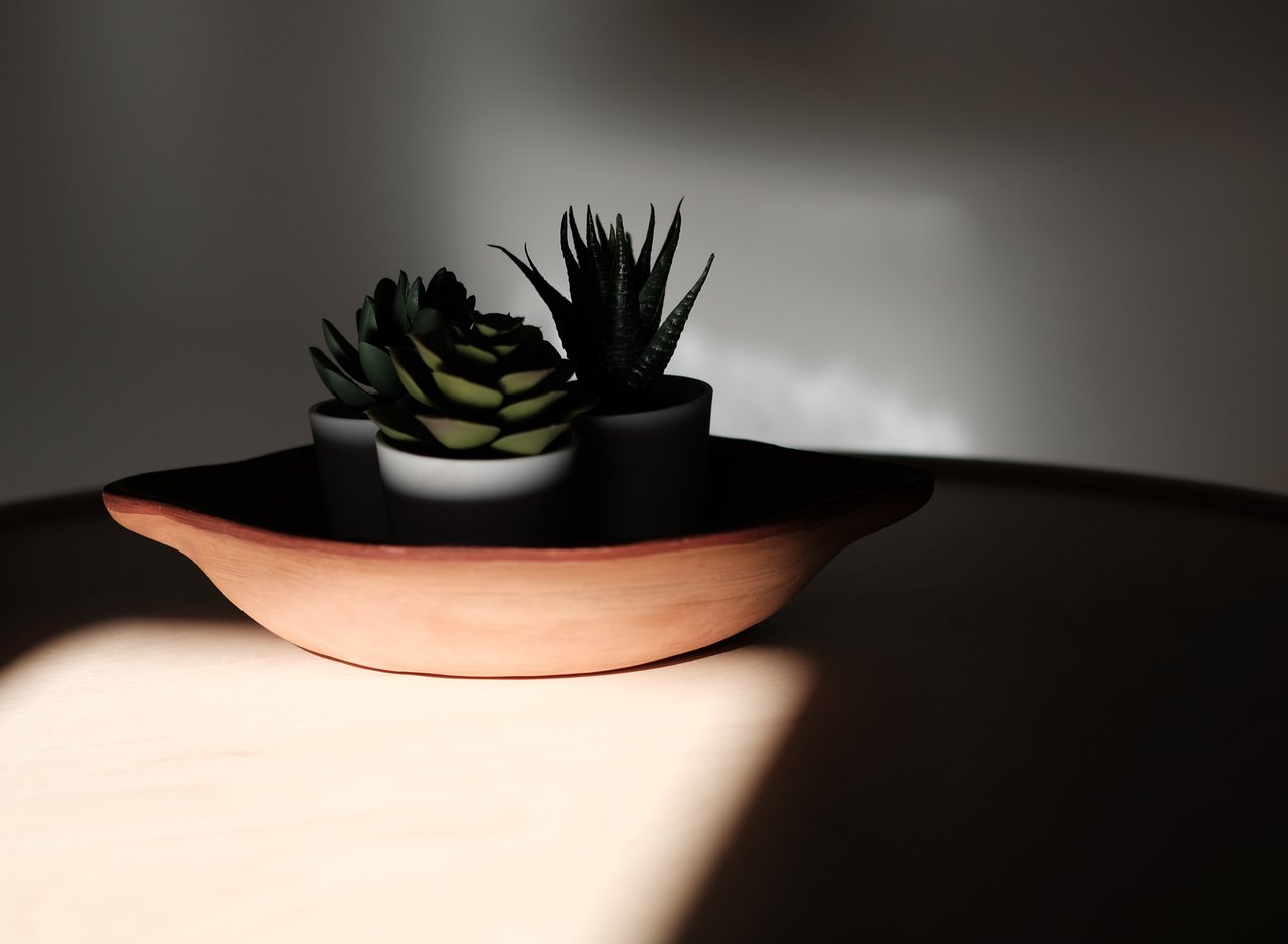 1cactus.JPG