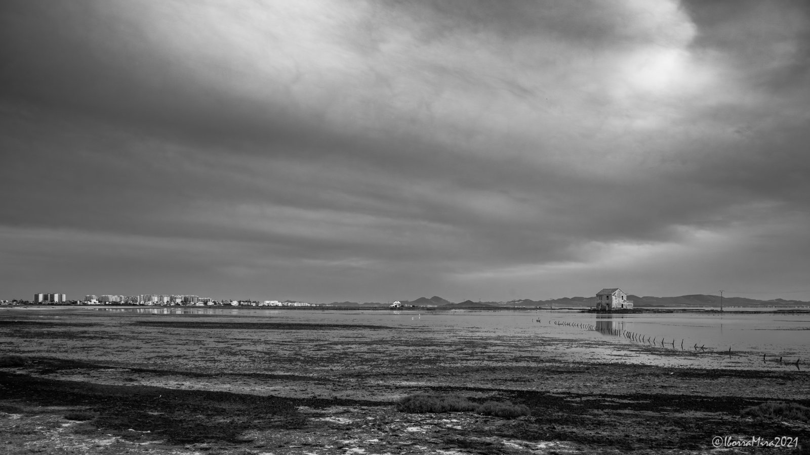 20210530_JEI0054-Mejorado-NRbnw.jpg