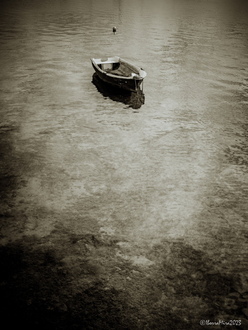20230306_R000014bnw.jpg