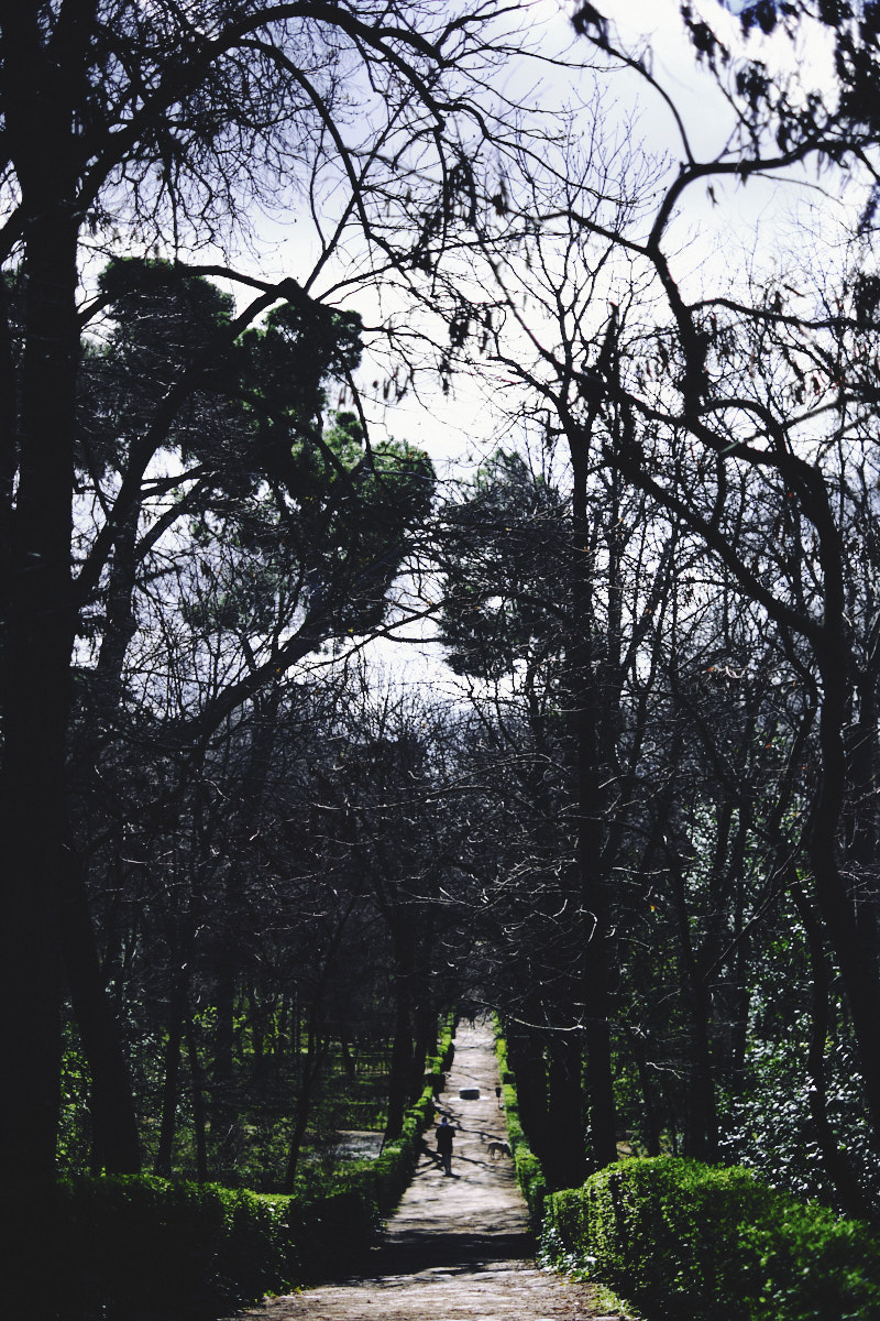 240303 paseos por el Retiro - Madrid 20.jpg