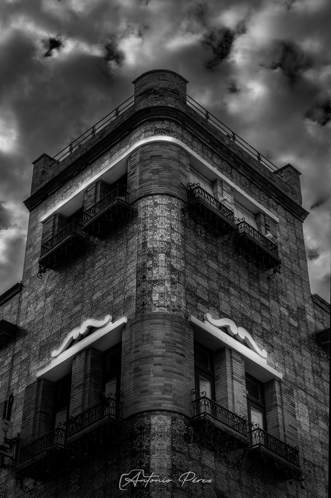_DSF4310.jpg