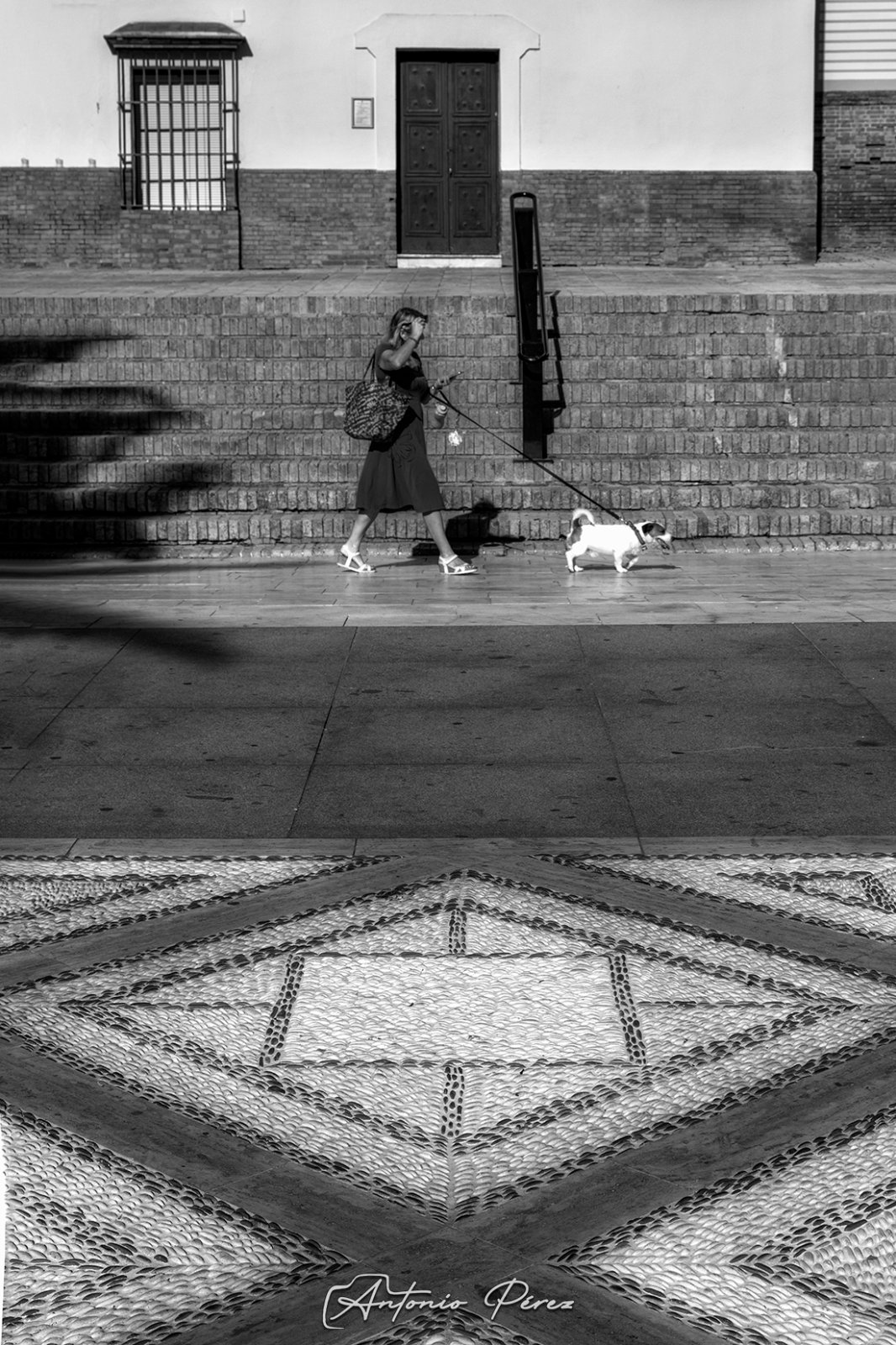 _DSF9064_013849.jpg